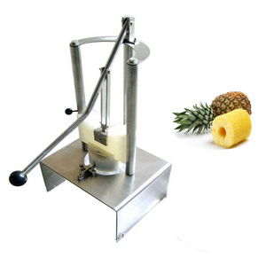 pineapple corer slicer peeler peeling machine in malaysia