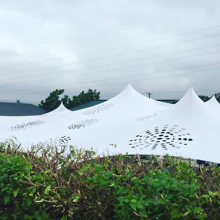 Tent Factory Wholesale Huge Outdoor Stretch Wedding Cheese Tent, Party Tent