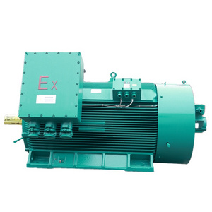 Factory price High Efficient Synchronous 3 Phase 2 Poles 4 Poles Motor explosion proof motor