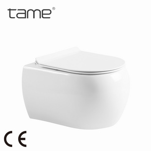 TAME TM727 Round Shape Europe Rimless Wall Mounted Toilet Floating Toilet WC Suspendu Complet Wall Hung Toilet Rimless