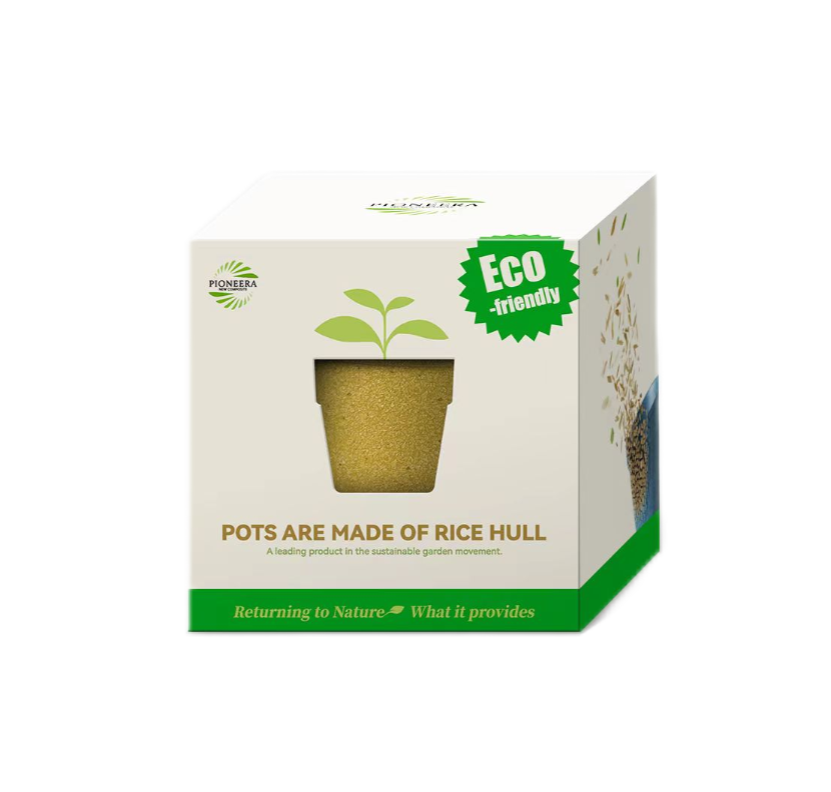 Pioneera 6.2cm Rice Hull Rice Husk Grower Plant Pots Eco Biodegradable Pots Mini Plant Pot With Package and Saucer