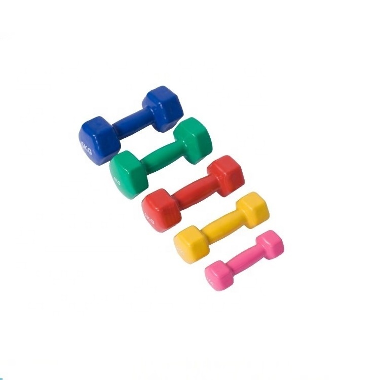 Wholesale  Factory Supply Plastic Dipping Dumbbell Sets Household And Commercial Use Neoprene Coated Dumbbells