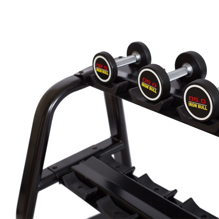 Hot sale high quality Dumbbell Rack Gym 2 tier storage dumbbell set  rack for 10 paris round dumbbell