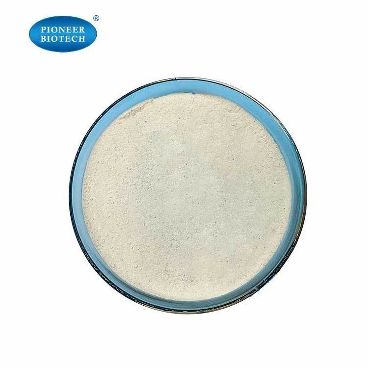 High quality almond protein powder 50% vegan protein powder KOSHER HALAL ISO manufacturer