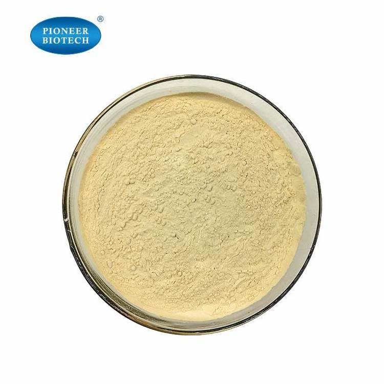 ISO Factory Supply 100% Kava Kava Extract Powder Kavalactone