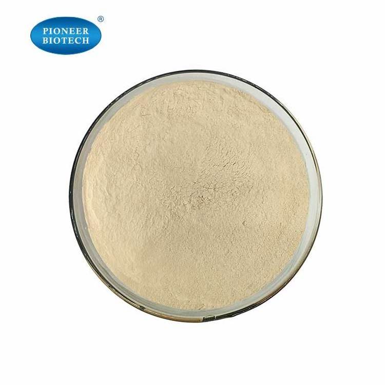 ISO Manufacture supply coconut protein powder 70% 80% 85% Vegan protein powder for fitness ECOCERT  KOSHER HALAL Cert