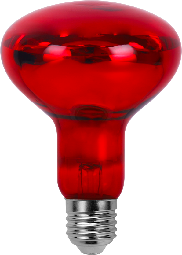 Infrared Heat Lamp Bulb R125 Par38 100W 150W 175W FULL Red Reflector Light Glass Heating Lamps Bulbs