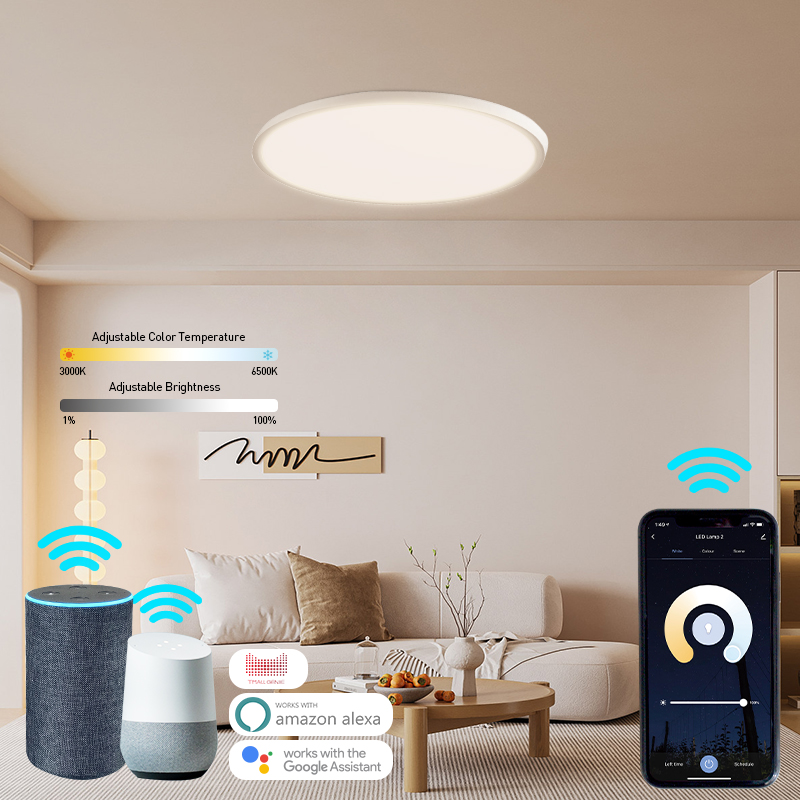 APP Wireless Remote Control Ceiling Lights Dimmable  Round 12W Surface Mounted Simple Led Ceiling Lights