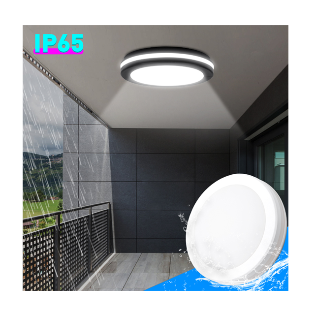 New Modern Surface Mounted Ceiling Light 20w IP65 Dimmable Round Led Ceiling Lights For Balcony Bathroom