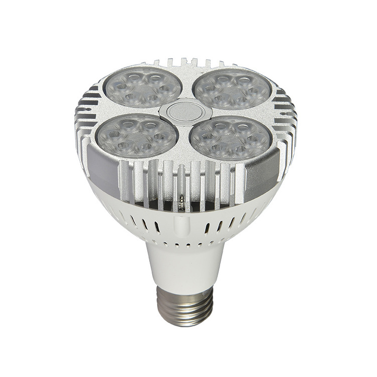 LED Light PAR30 SMD Light Source 5W LED Bulb /LED Par Light Downlights IP65 LED Par30 Bulb