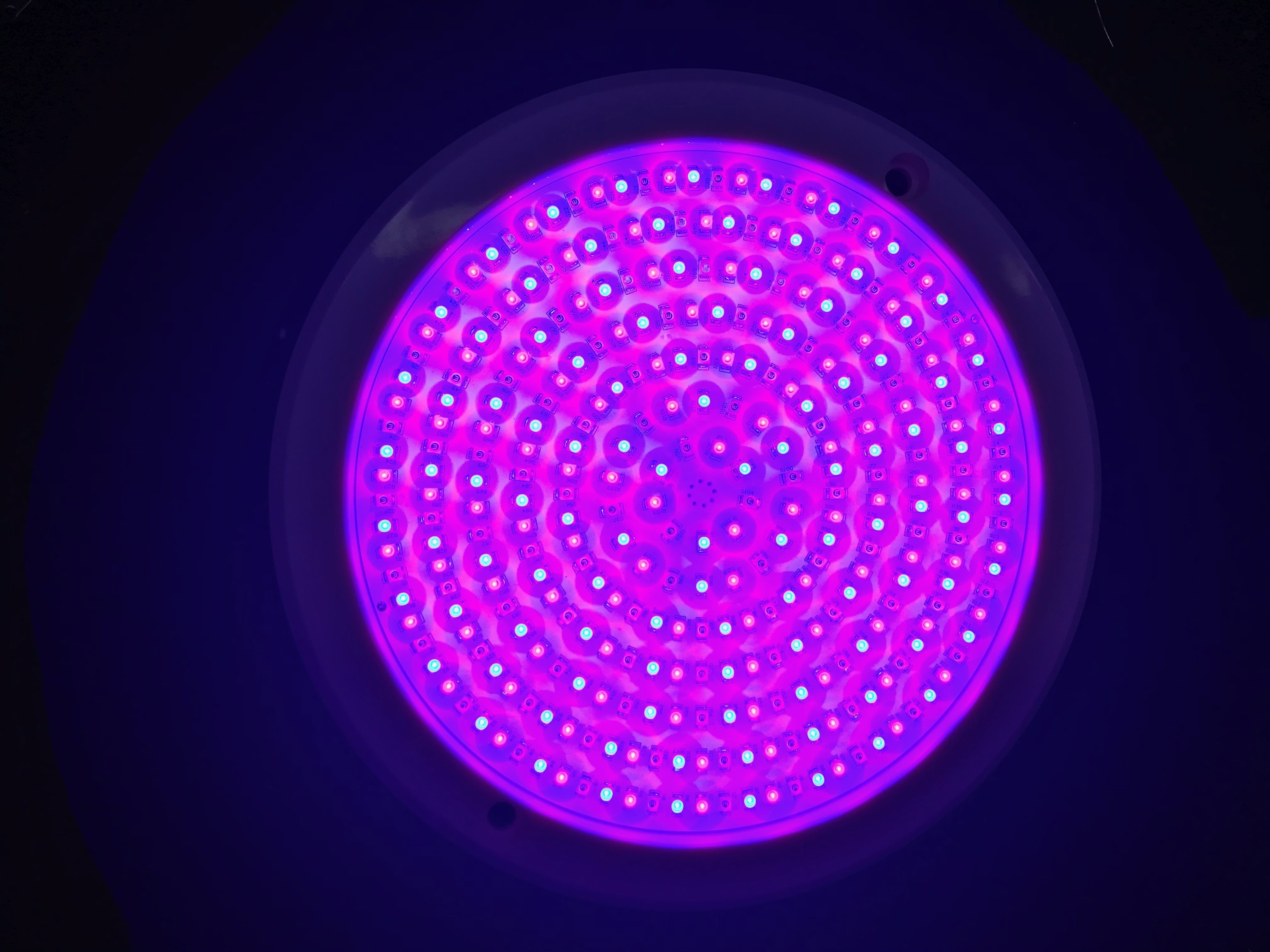 IP68 RGB underwater surface mounted salt water Waterproof led rope light SWIMMING LED POOL LIGHT