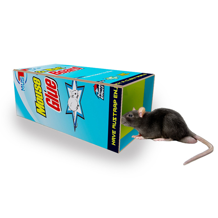 factory wholesale Strong Stickiness Paperboard Mice Glue Trap Board Mouse Traps Sticky Pad Board