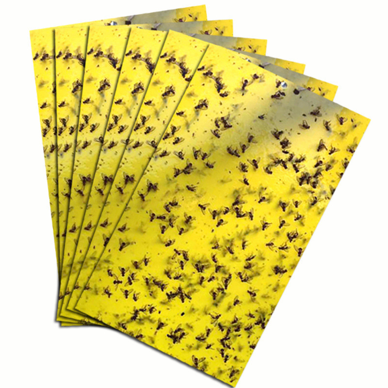 Flying Insect Killers Yellow Sticky Fruit Fly Sticky Traps Killing Aphids Plate Stick Insect Whitefly StickyPaper