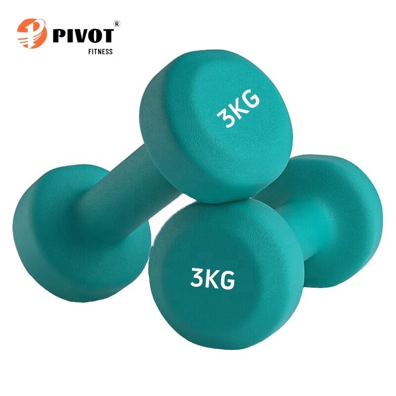 Wholesale Custom Logo  l -3kg Dumbbell Set With Rack Colored Iron Dumbbell Set Yoga Pilates Dumbbells