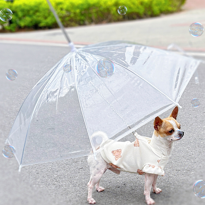 Walking Umbrella Factory China Manufacturer With Logo Printing Fantastic Pvc Transparent Dog Umbrella