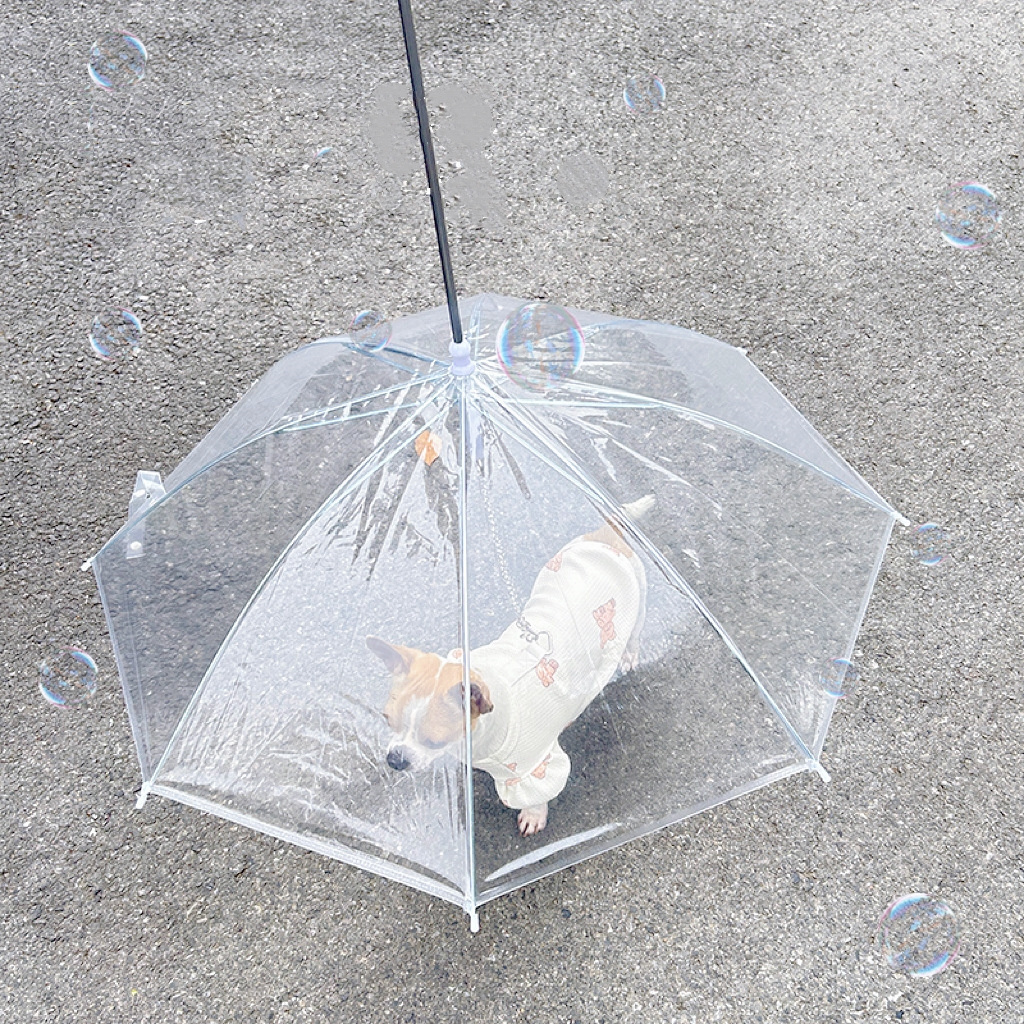 Walking Umbrella Factory China Manufacturer With Logo Printing Fantastic Pvc Transparent Dog Umbrella