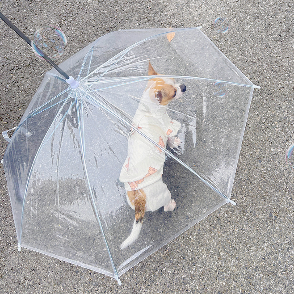 Walking Umbrella Factory China Manufacturer With Logo Printing Fantastic Pvc Transparent Dog Umbrella