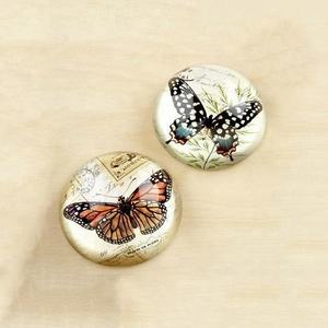 MH-BQ0028 Cheap Fashion Wedding Favors Blank Butterfly Glass Paperweight Crystal Dome Ball For Home Decoration