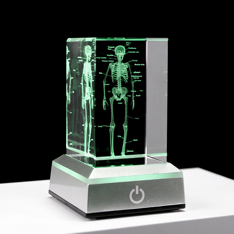 3D Laser Engraved Human Anatomical Skeleton Cube Model K9 Crystal Craft Ornament Thinking Medical Science Gifts Home Decoration