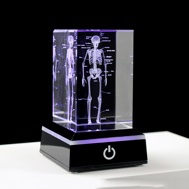 3D Laser Engraved Human Anatomical Skeleton Cube Model K9 Crystal Craft Ornament Thinking Medical Science Gifts Home Decoration