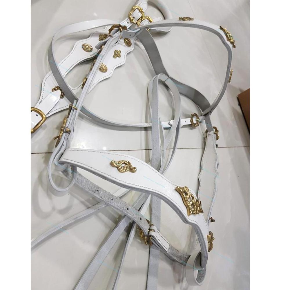 Spanish horse bridle with silver metal