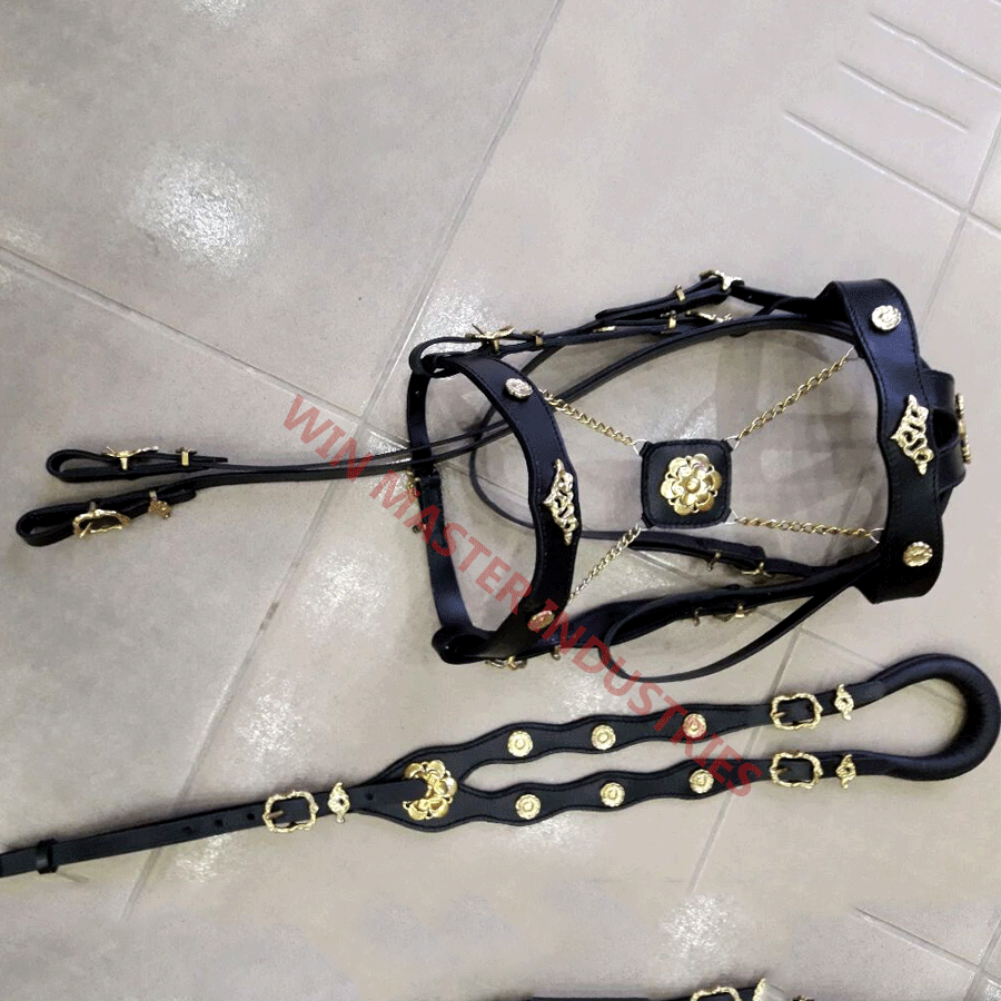 spanish horse bridle/horse bridle