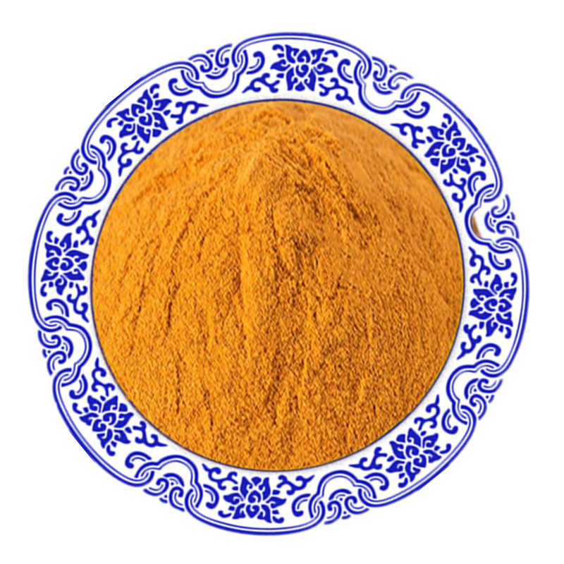 Powder Supplements Turmeric Extract Powder with 97% Curcumin for Women and Men Good For Health Low Price Custom Pecking Service