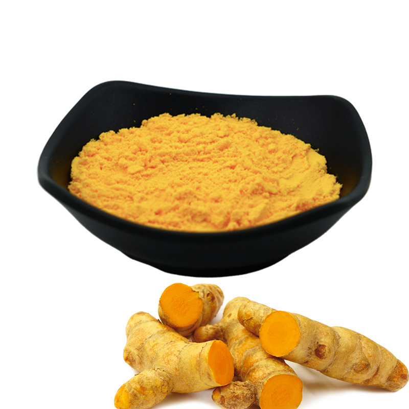 Haldi Powder Premium Quality Bulk Turmeric Powder Raw Material for Turmeric Capsules, Scrub and Tea Cheap Price Custom Pecking