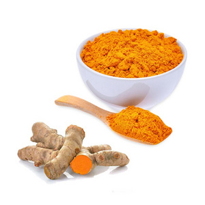 Turmeric Extract Powder with 97% Curcumin Powder Supplements for Women and Men Good For Health Low Price Custom Pecking Service