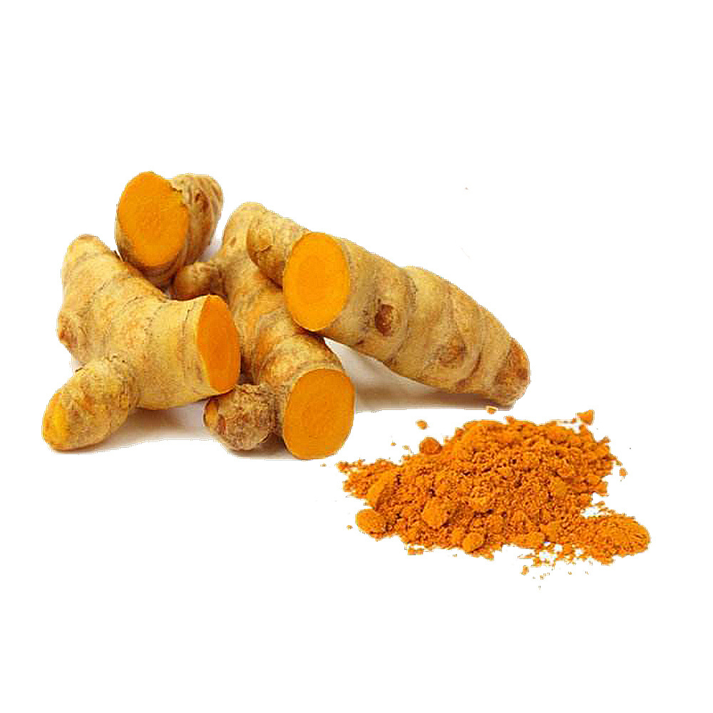 Powder Supplements Turmeric Extract Powder with 97% Curcumin for Women and Men Good For Health Low Price Custom Pecking Service