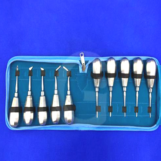 Dental Root Elevators High Quality Dental Elevators Extraction Surgical Instruments Stainless Steel Tooth Dislocation