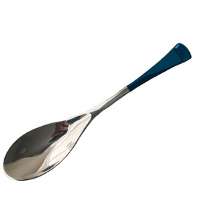 Quenelle Signature Rocher spoon large size Stainless steel best quality Wholesale Suppliers in cheap price from Pakistan