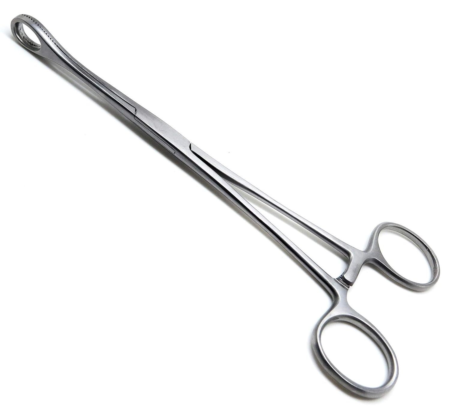 Foerster Sponge Forceps 12