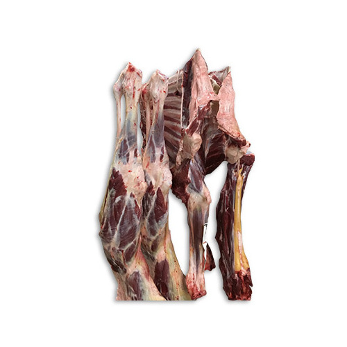 Halal Camel Fresh Chilled Meat Fresh/chilled Fresh Halal Camel chilled Meat