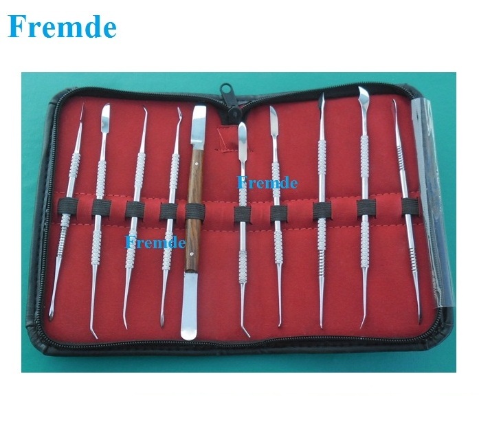 Dental Lab Instrument Stainless Steel Kit Wax Carving Tool Set of 10 Pieces Certified by CE & ISO