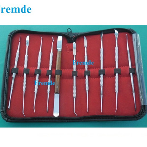 Dental Lab Instrument Stainless Steel Kit Wax Carving Tool Set of 10 Pieces Certified by CE & ISO