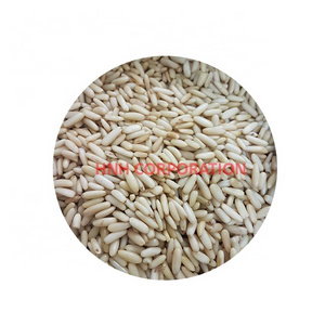 Chilgoza Kernels / Chillgozah Kernels / Pine Nut Kernels