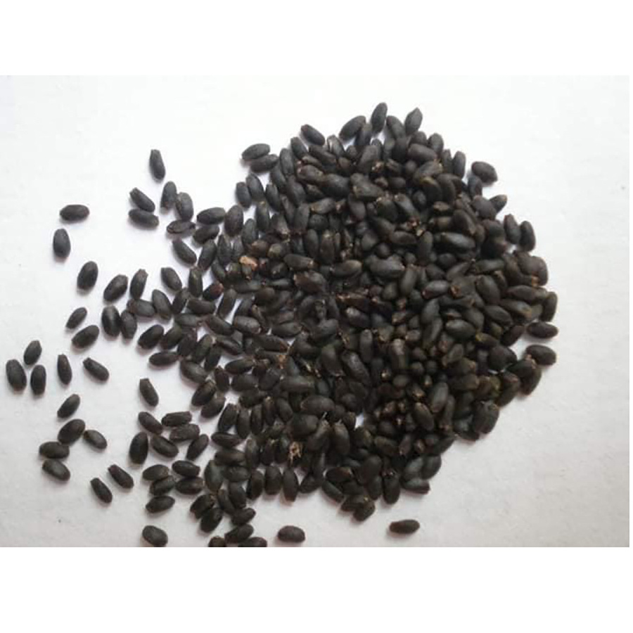 Less price high quality100% Original Taste Black Color Dried Basil Seed For Beverages