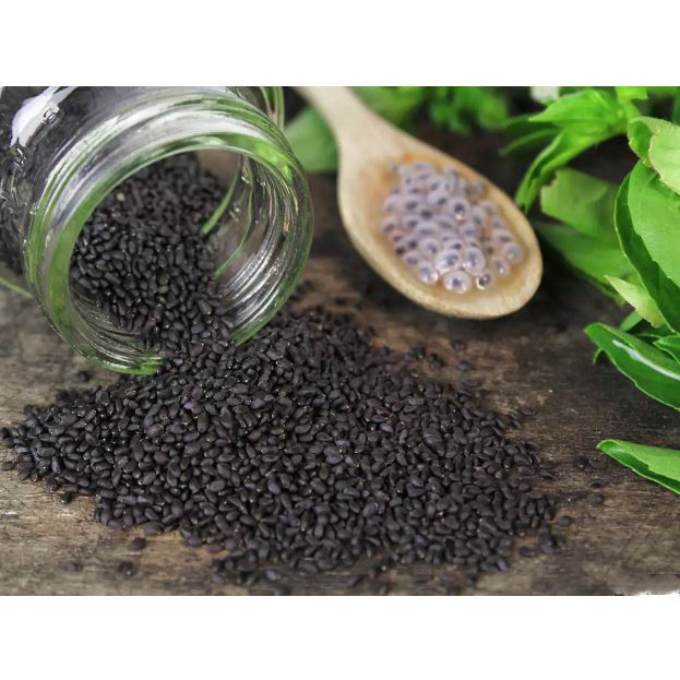 Supply 100% pure natural coriander Basil seeds spices coriander dried wholesale best price Basil Seeds