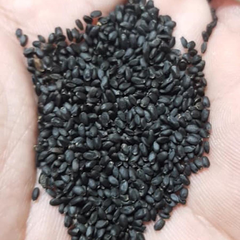 Professional quality Buy Pure Natural Basil Seeds For Weight Loss And Ayurvedic Buy At Cheap Price