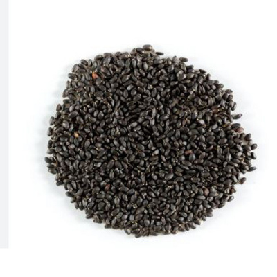 Supply 100% pure natural coriander Basil seeds spices coriander dried wholesale best price Basil Seeds