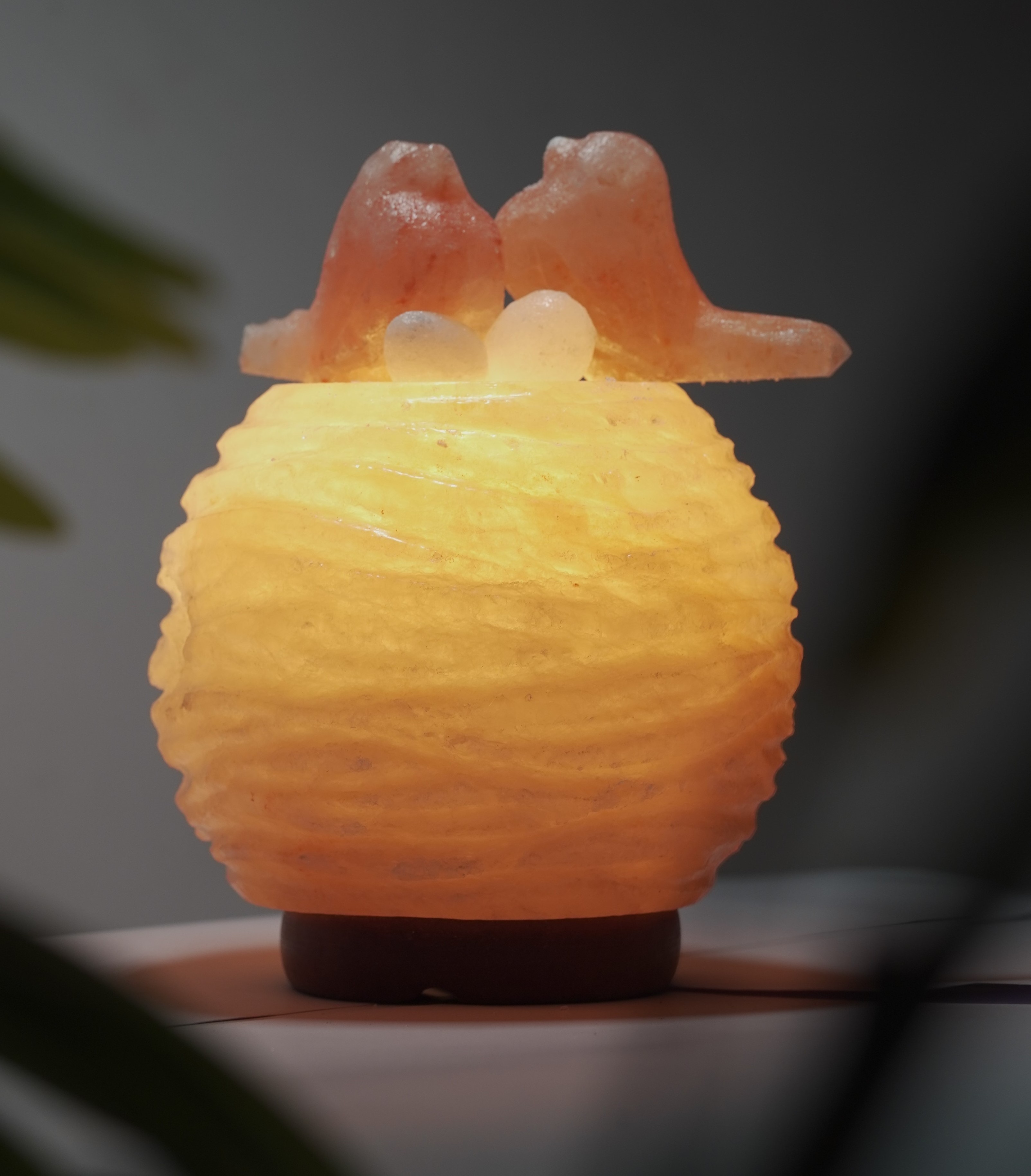 Himalayan Salt Lamp White Nest With Birds Hand Carved Best Premium Quality Decoration Salt Lamps Natural With Wooden Base