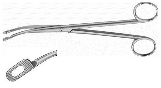 Collin Kidney Elevating Stone Clamps Forceps 26.5cm Dartigues Uterine Elevating Forceps 27cm Somer Kidney Elevating Stone Clamps