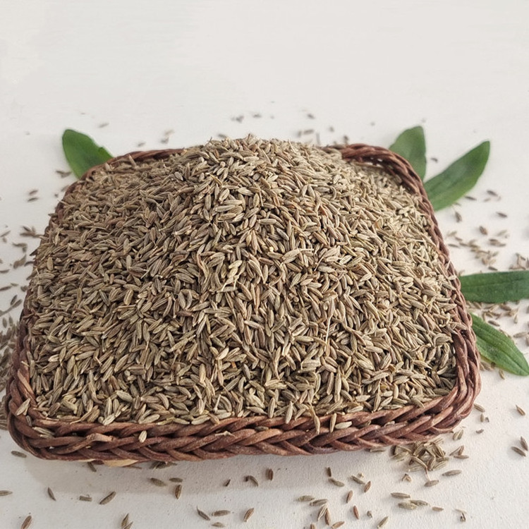 100% Natural Dried Healthy Product Free Sample Available White Cummin Seeds High Quality Seeds