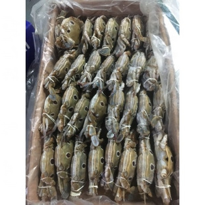 Wholesale Seafood Products Frozen Blue Swimming Crab With Roe