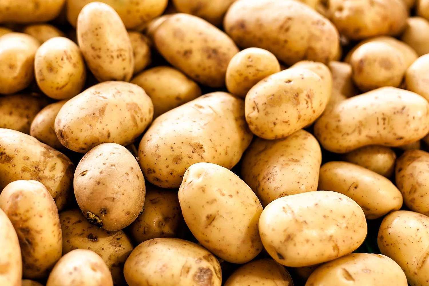 High Quality Fresh Potato From Pakistan White Potatoes Global Suppliers Top Grade Fresh Vegetable Potato Customized Packaging