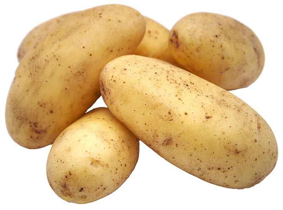 High Quality Fresh Potato From Pakistan White Potatoes Global Suppliers Top Grade Fresh Vegetable Potato Customized Packaging