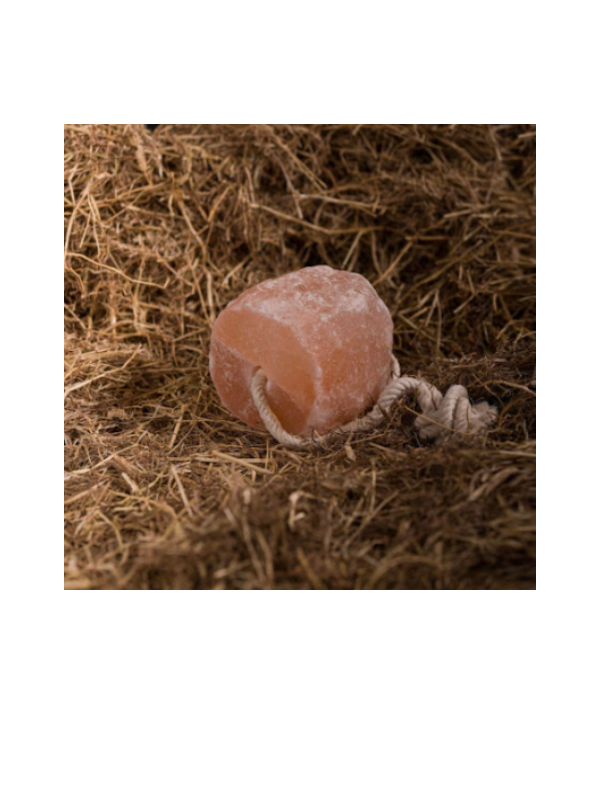 Top Selling Best Material Animal Liking 100% Natural Pure himalayan salt Block with Rope for Horses Deer Goats Cattle Rabbit