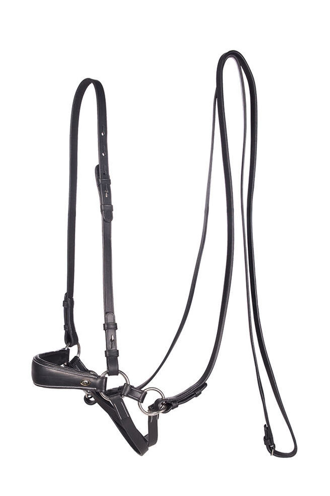 Bitless Bridle (System 4) w/ Reins & Studhook Connect