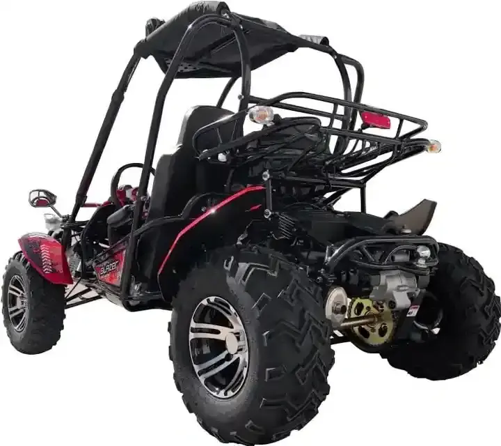 Authentic New Hot selling Trailmaster Blazeers 200EX Sport Go Kart with EFI 168.9cc/11.1hp GY6  engine Off-Road go Kart